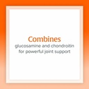natural-factors-glucosamine-chondroitin--3.jpg