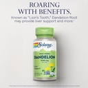 solaray-dandelion-root-supplement---heal-3.jpg