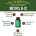 methyl-b12-vitamin-whole-food-blend-of-2-2.jpg