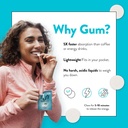 run-gum-mint-energy-gum-50mg-caffeine-ta-4.jpg