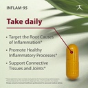 inflam-95---ginger-root-extract-2000-mg--3.jpg