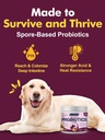 probiotics-for-dogs---dog-probiotics-for-4.jpg