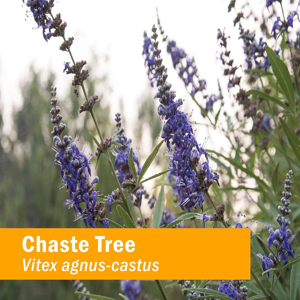 herb-pharm-chaste-tree-liquid-extract-fo-2.jpg