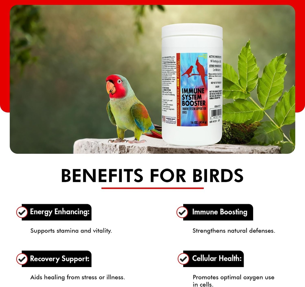 morning-bird-immune-system-booster-16-oz-5.jpg
