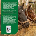 ramard-total-gut-health-equine-digestive-6.jpg