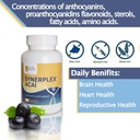 acai-capsules-all-natural-superfood-supp-6.jpg