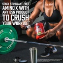 bsn-amino-x-muscle-recovery-endurance-po-5.jpg
