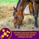 horse-health-red-cell-liquid-vitamin-iro-5.jpg
