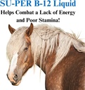 su-per-b-12-energy-horse-supplement---eq-2.jpg