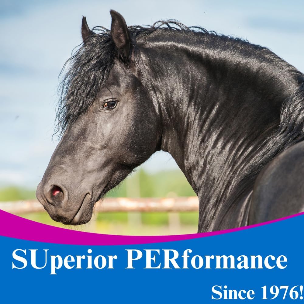 su-per-b-12-energy-horse-supplement---eq-5.jpg