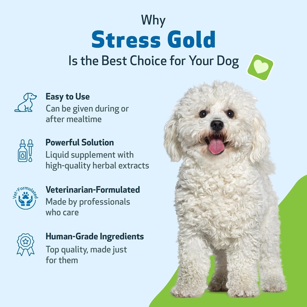 pet-wellbeing-stress-gold-for-dogs---vet-3.jpg