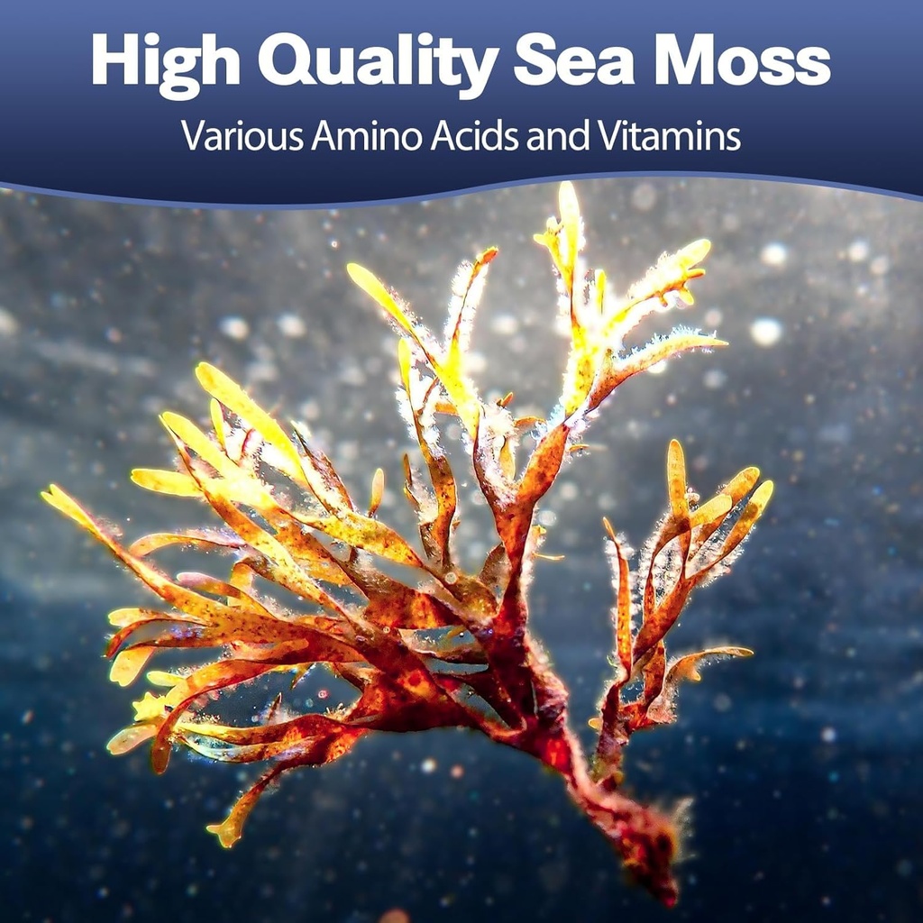 25-in-1-sea-moss-black-seed-oil-ashwagan-3.jpg