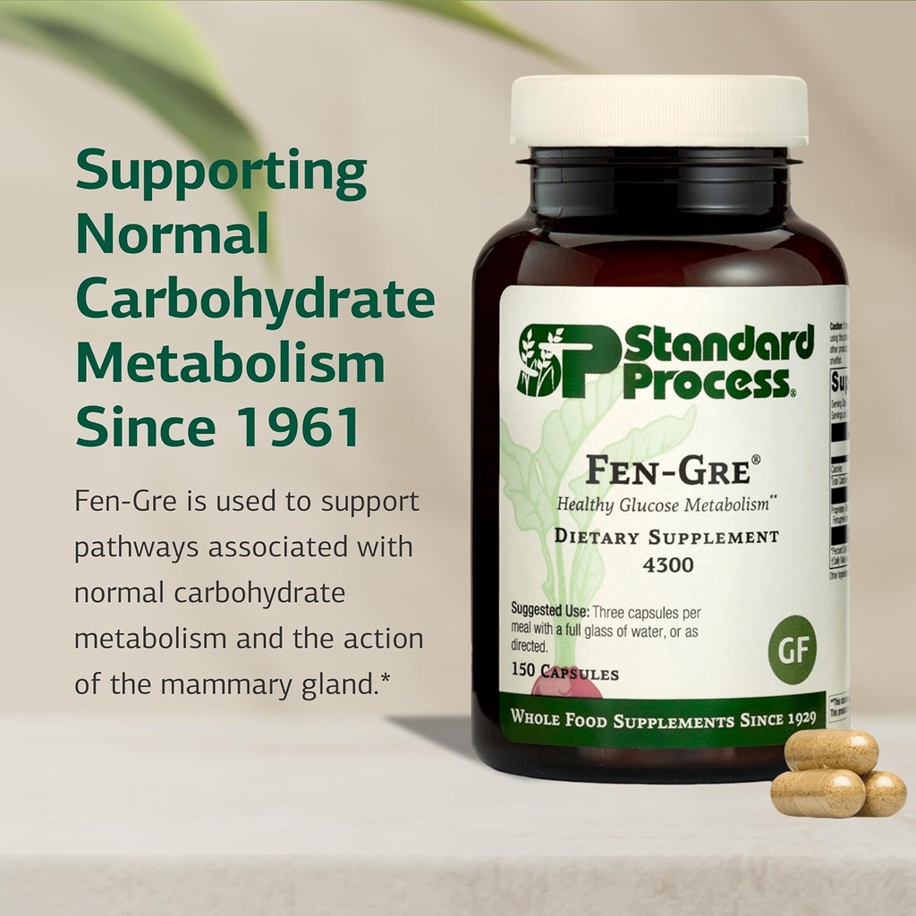 standard-process-fen-gre---supports-resp-3.jpg