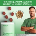 supply6-ksm-66-ashwagandha-vitamin-d-gum-2.jpg