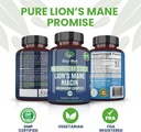 lion-mane-mushroom-supplement-capsules-w-4.jpg