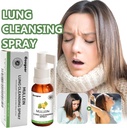 mullein-lung-cleansing-spray-mullein-lea-4.jpg