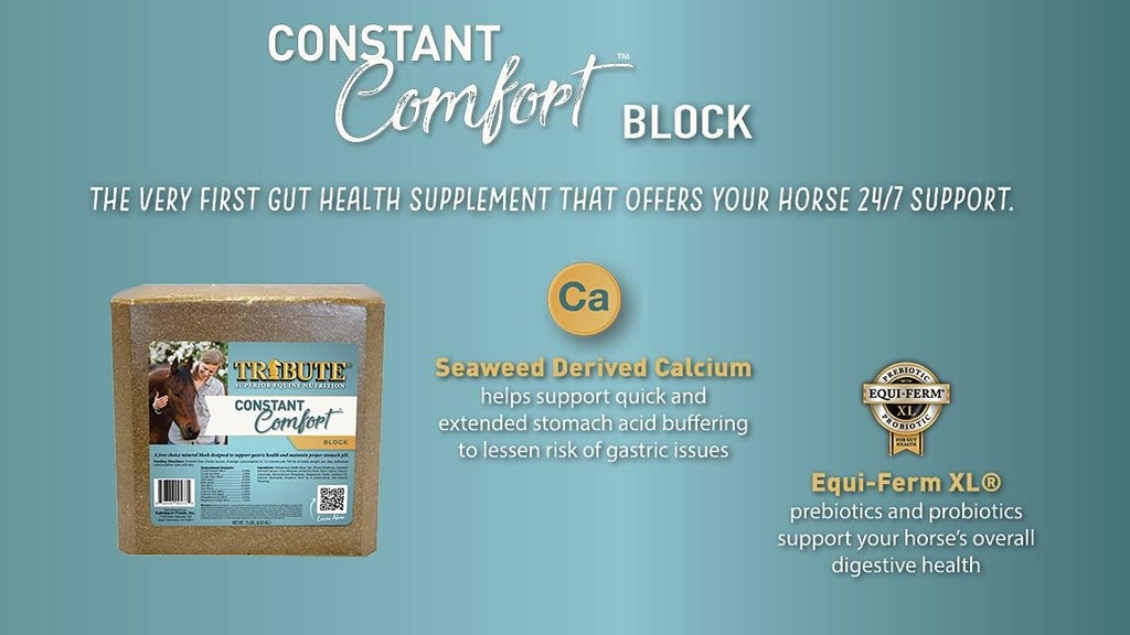 constant-comfort-supplement-block-to-sup-3.jpg