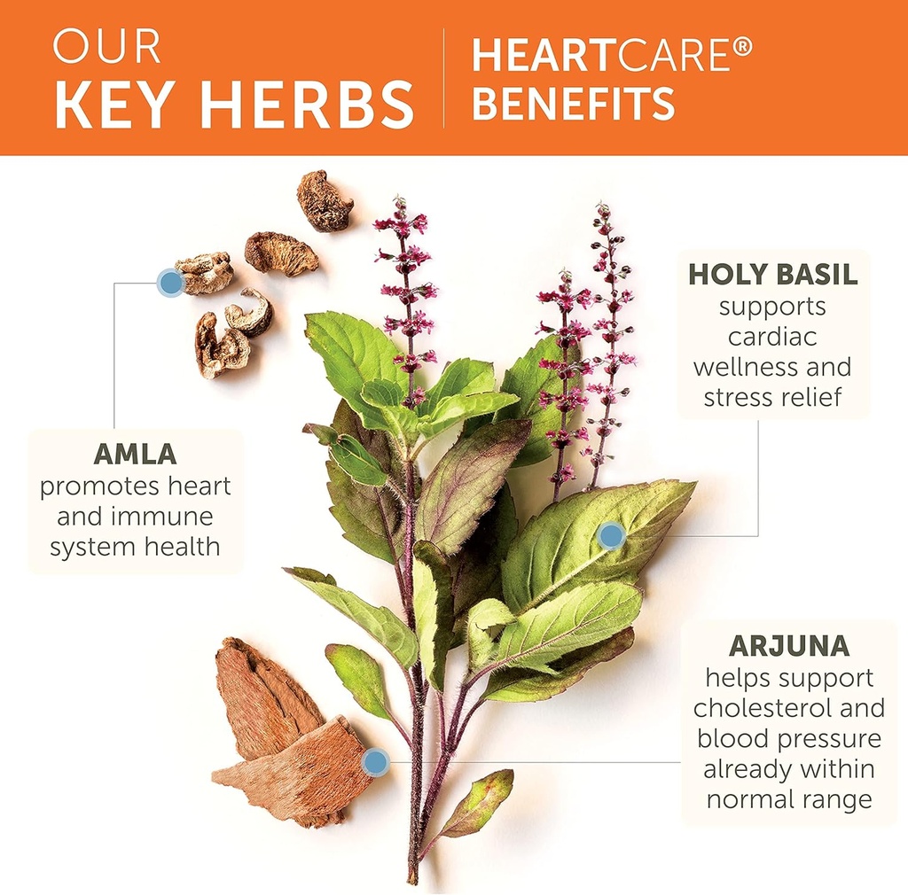 himalaya-heartcare---herbal-heart-health-4.jpg