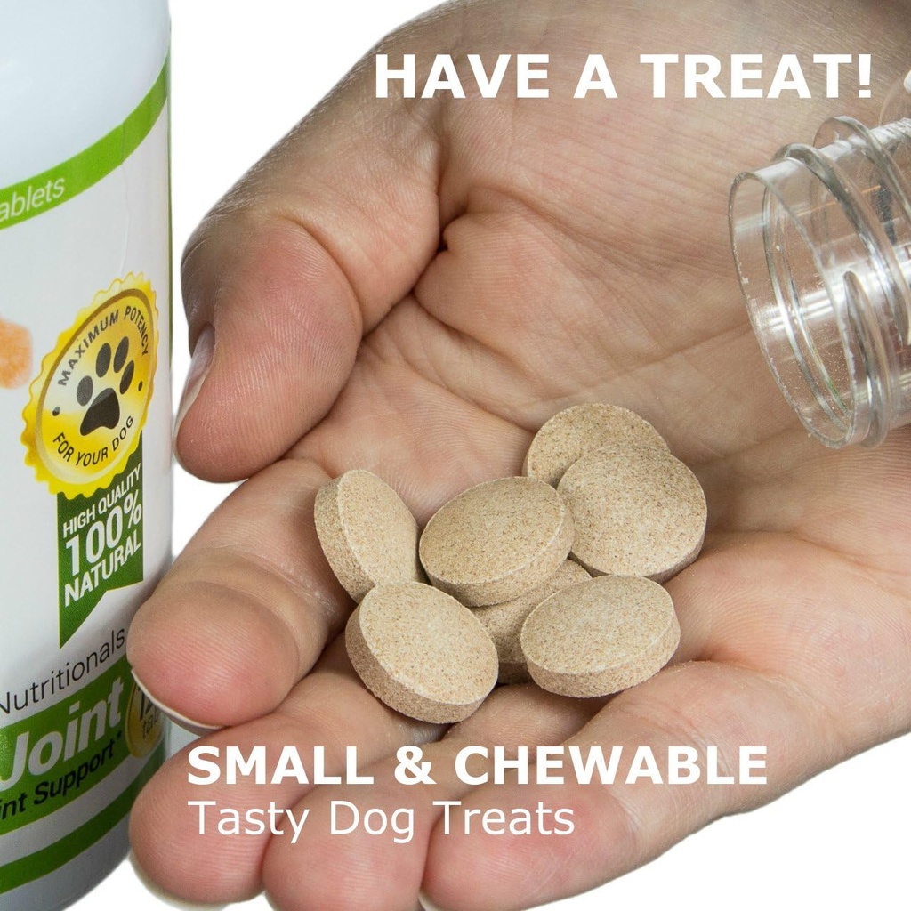 amazing-probiotics-for-dogs-eliminates-d-5.jpg