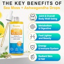 sea-moss-ashwagandha-root-drops---10x-st-3.jpg