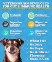 probiotics-for-dogs-dog-probiotics-made--4.jpg