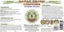 cordyceps-alcohol-free-liquid-extract-co-2.jpg