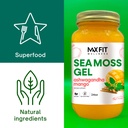 sea-moss-gel-ashwagandha-mango-25-flavor-3.jpg