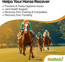 seabuck-7-equine-supplement-for-horses-w-3.jpg