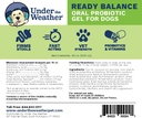 under-the-weather-pet-ready-balance-for--2.jpg