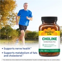 country-life-choline-266mg-certified-glu-2.jpg