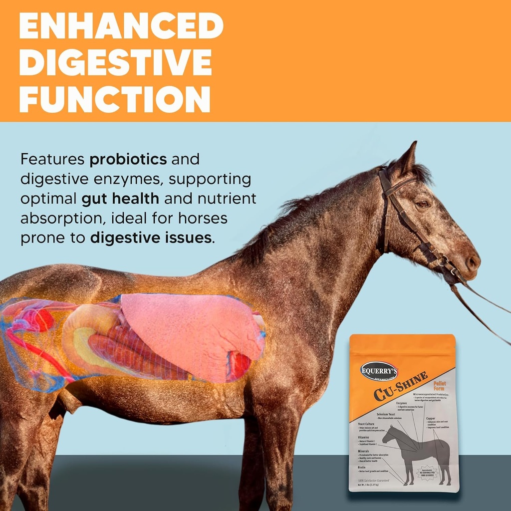 equerrys-cu-shine-total-horse-health-pel-2.jpg