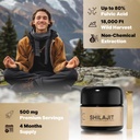 organic-himalayan-shilajit-resin---500mg-2.jpg