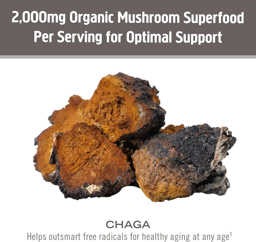 om-mushroom-superfood-chaga-organic-mush-6.jpg
