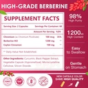nature-target-berberine-hcl-1200mg-berbe-2.jpg