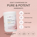 alaya-multi-collagen-powder---type-i-ii--2.jpg