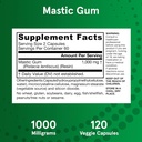 jarrow-formulas-mastic-gum-1000-mg---120-6.jpg