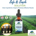pure-mountain-botanicals-gingko-biloba-l-3.jpg