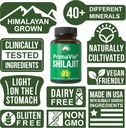 primavie-purified-shilajit-capsules-made-4.jpg