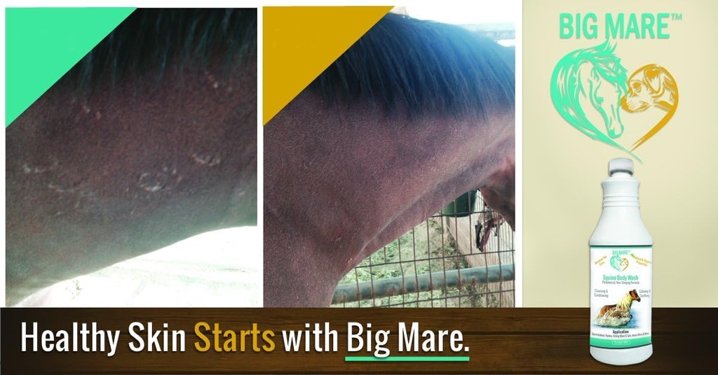 big-mare-horse-medicated-body-wash-clini-2.jpg