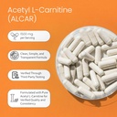 acetyl-l-carnitine-alcar-1500-mg-per-ser-4.jpg