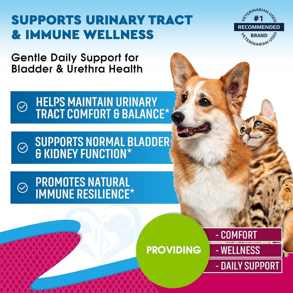 cat-dog-urinary-tract-infection-treatmen-2.jpg