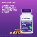 natrol-pycnogenol-capsules-antioxidant-p-6.jpg