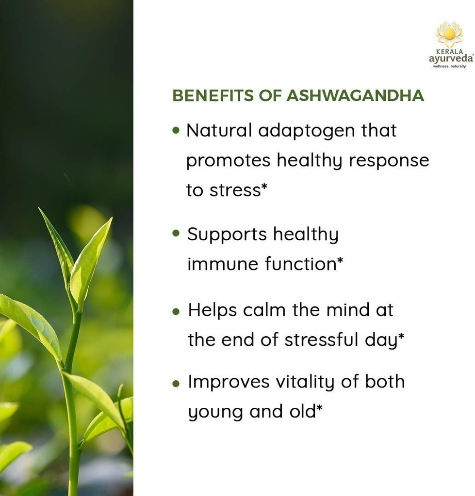 kerala-ayurveda-ashwagandha-capsule-for--6.jpg