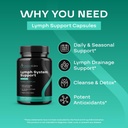 herbal-lymph-system-support-supplement---3.jpg