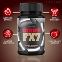 5-pack-giantfx7-capsules-for-men-giantfx-4.jpg