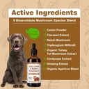 dog-lumps-and-bumps-treatment-mushroom-s-3.jpg