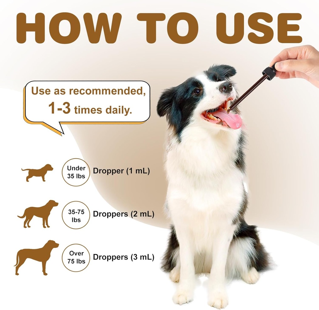 dog-lumps-and-bumps-treatment-mushroom-s-5.jpg