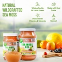 wildcrafted-irish-sea-moss-gel-made-in-u-3.jpg