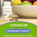vh-nutrition-cistanche-cistanche-capsule-2.jpg