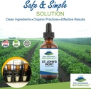 pure-mountain-botanicals-st-johns-wort-t-2.jpg